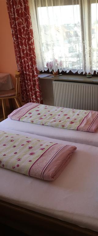 Gasthof Und Pension Mainzer Rad Шветцинген Экстерьер фото